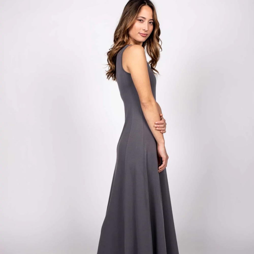 Anntarah Princess Seam Dress - Picture 2 of 6